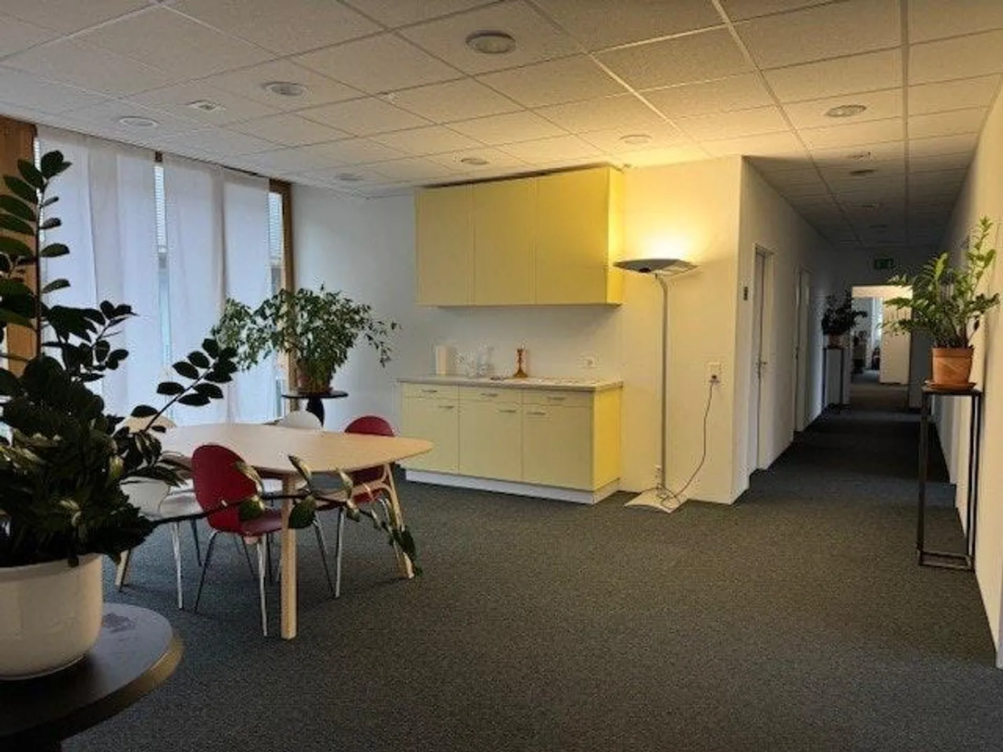 Spazio commerciale con stile: luminoso e ben posizionato - Foto 5 di 6