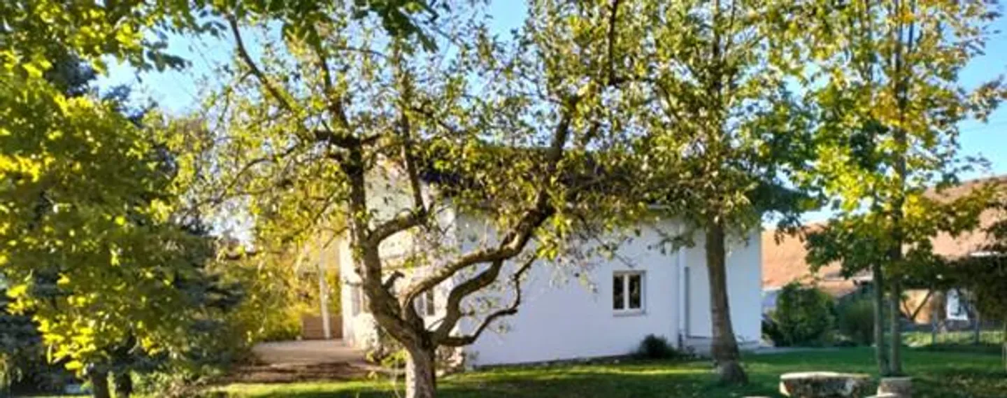 casa idilliaca nel verde villaggio fuori Buttisholz - Foto 1 di 6
