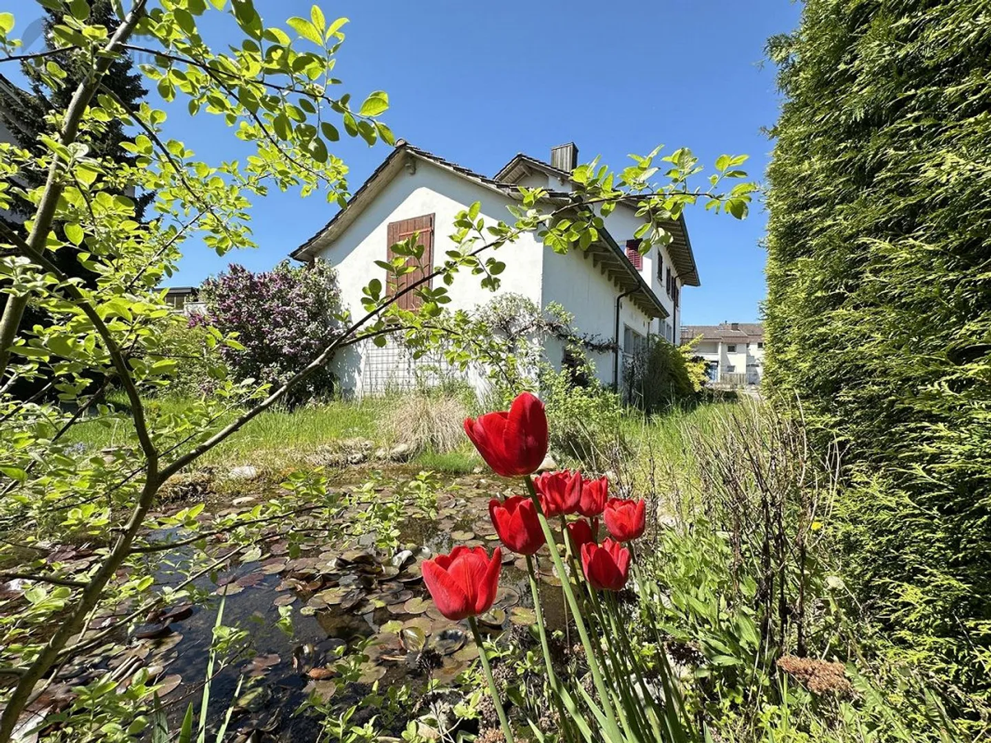 Proprietà del progetto con >300 m2 di superficie abitabile, laboratorio e spazio commerciale - Foto 12 di 17