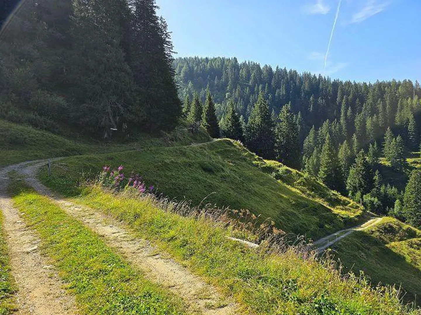 Maison rustique de 3,5 pièces dans un emplacement très calme et ensoleillé avec de belles vues - Photo 27 sur 40