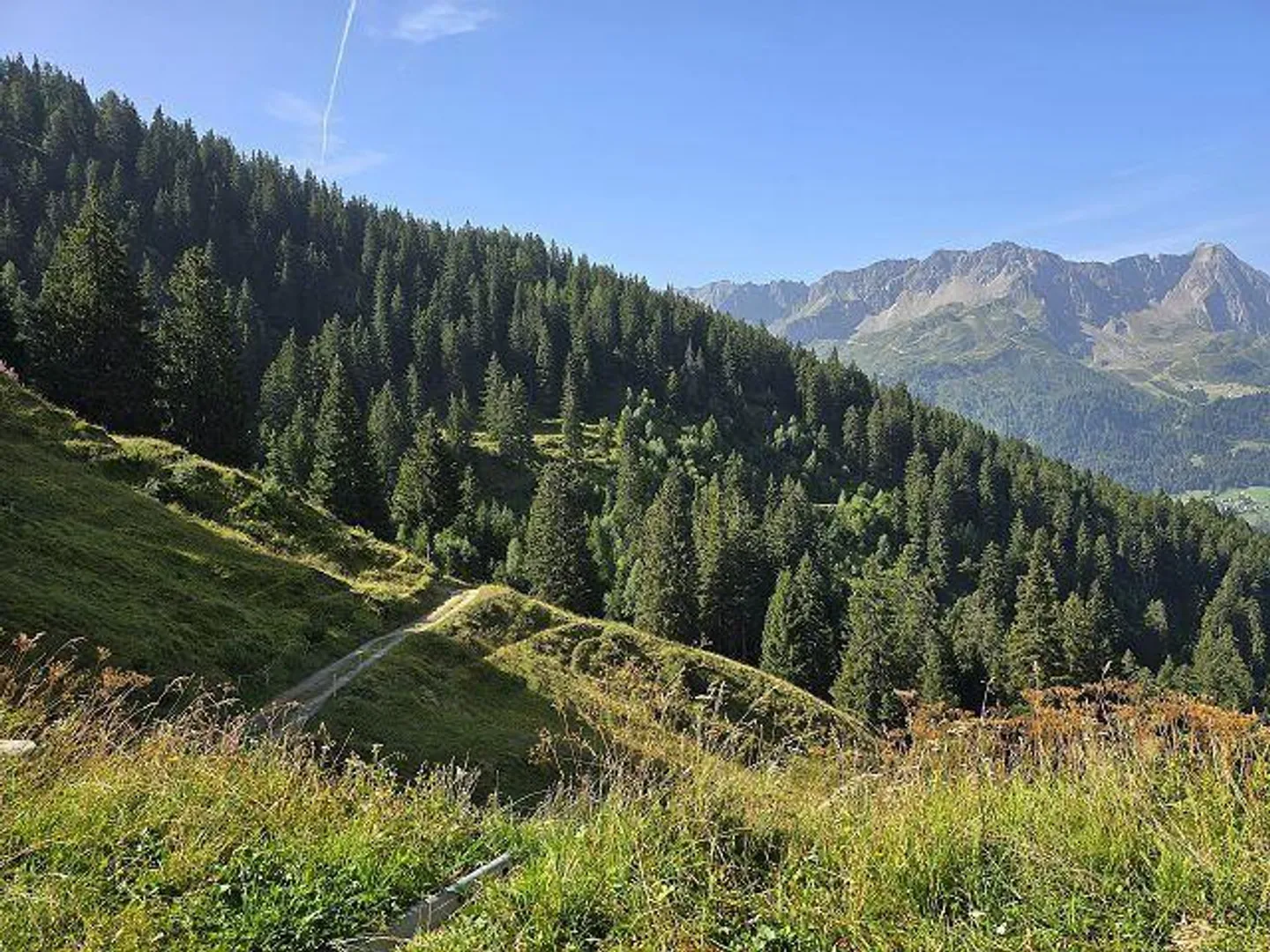 Maison rustique de 3,5 pièces dans un emplacement très calme et ensoleillé avec de belles vues - Photo 31 sur 40