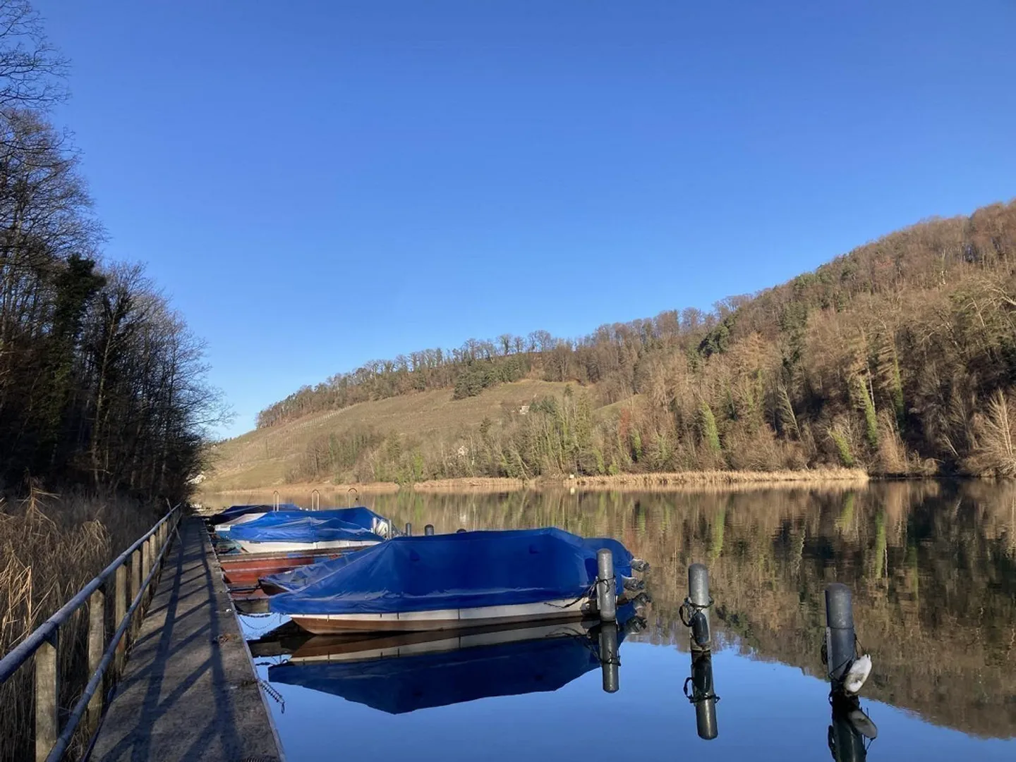 Bright 4½-room apartment with a beautiful view of the Rhine - Bankgep... - Photo 12 of 13