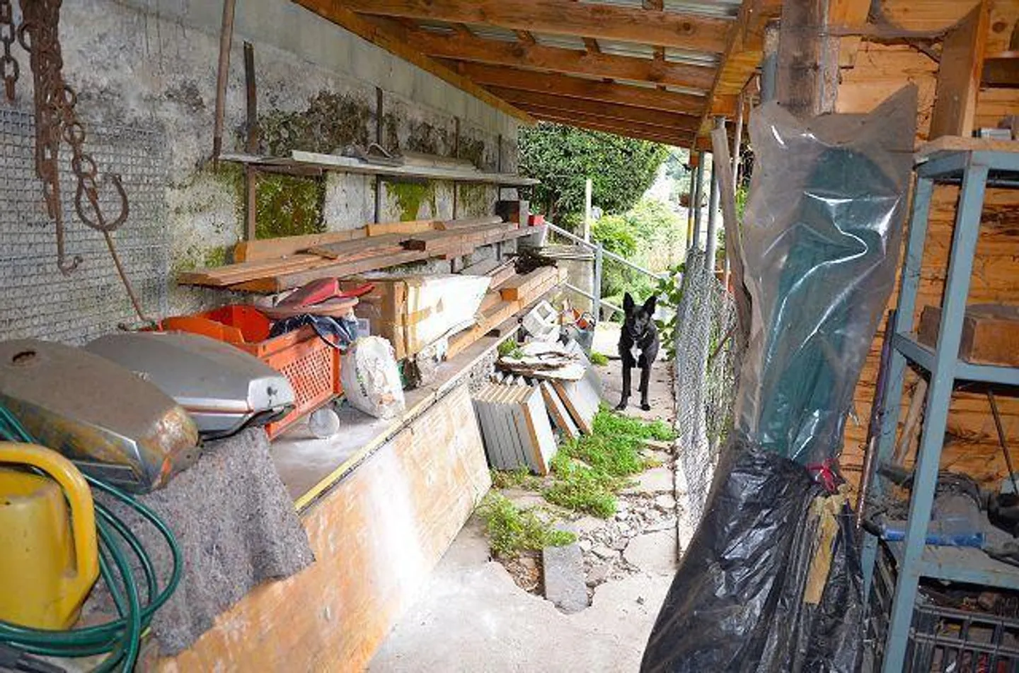 Casa singola in affitto - Foto 42 di 49