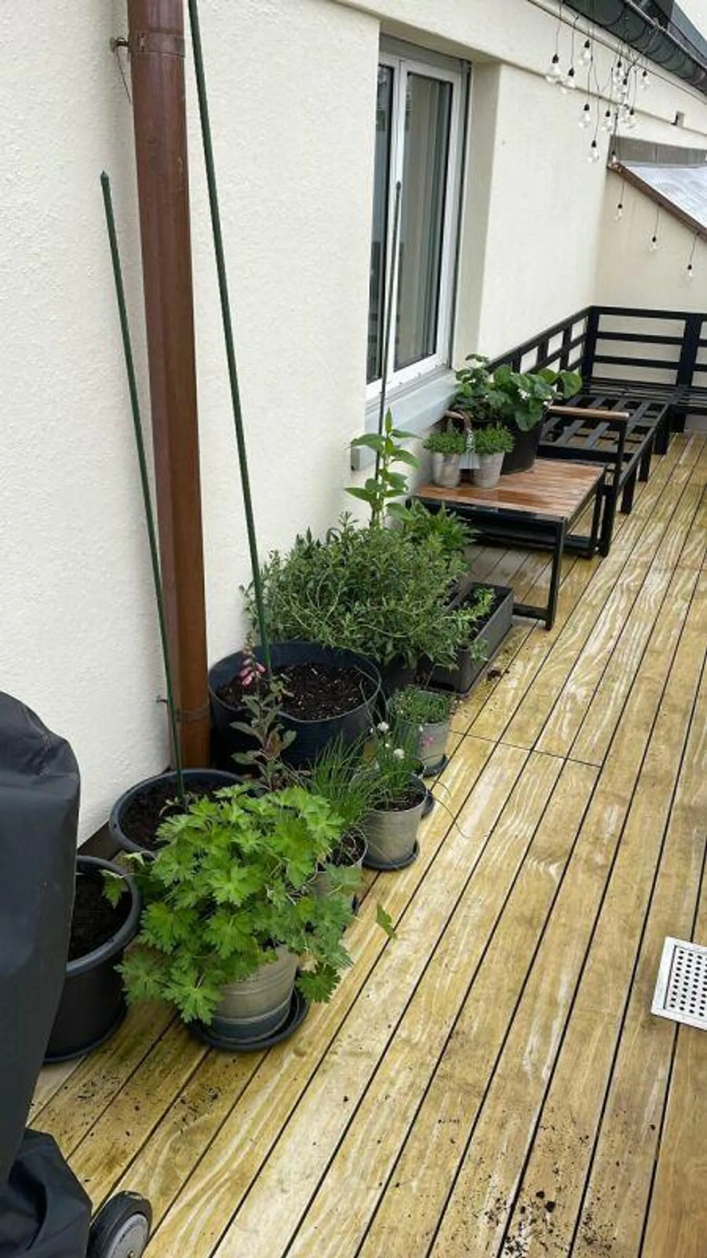 Geräumige Wohnung in Luzern - Foto 9 von 11