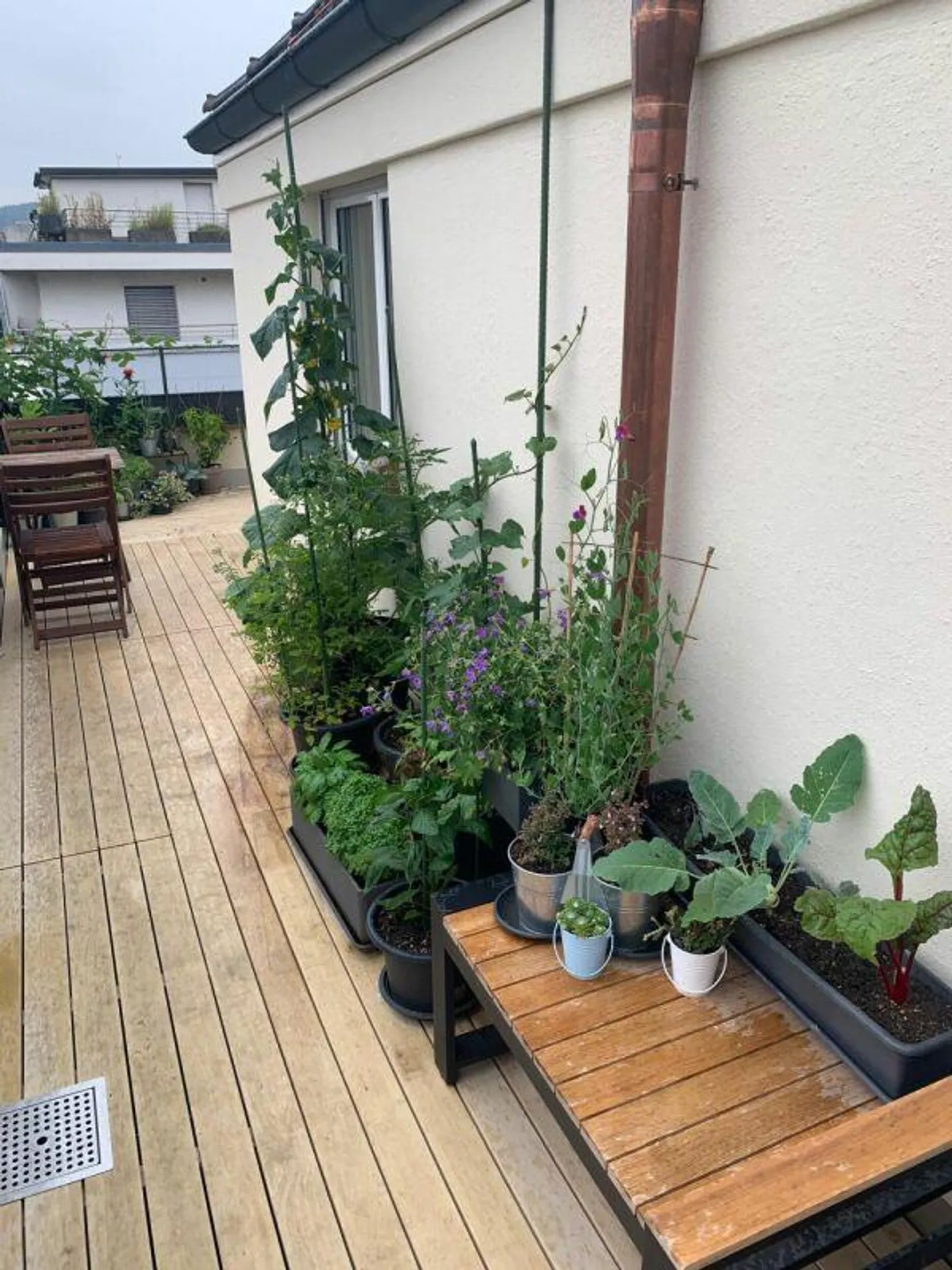 Geräumige Wohnung in Luzern - Foto 11 von 11