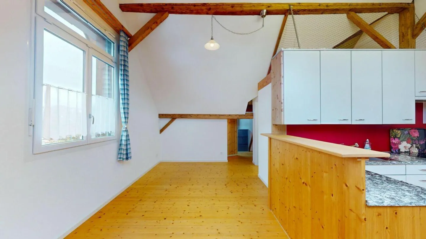 Spacious, Charming Penthouse - Two Units, One Home - Photo 4 of 16