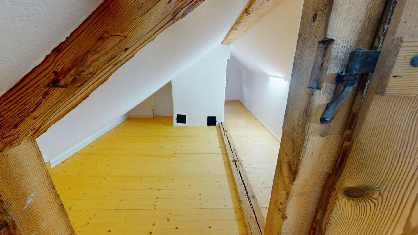 Spacious, Charming Penthouse - Two Units, One Home - Photo 6 of 16