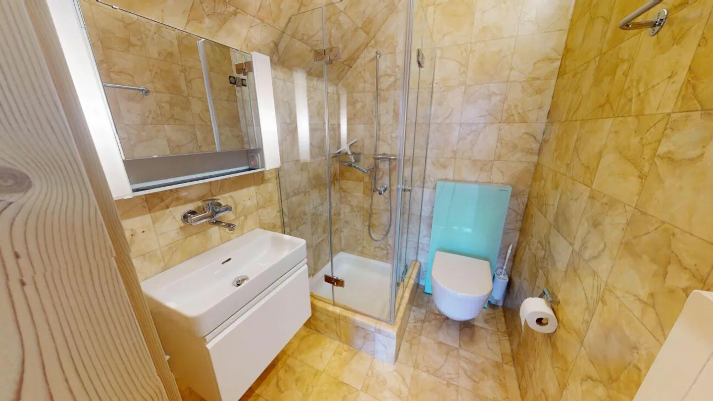 Spacious, Charming Penthouse - Two Units, One Home - Photo 10 of 16