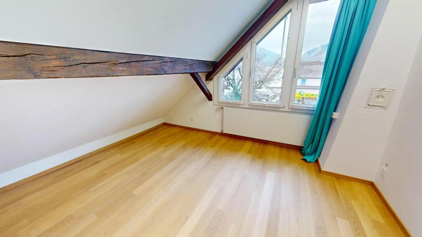 Spacious, Charming Penthouse - Two Units, One Home - Photo 11 of 16