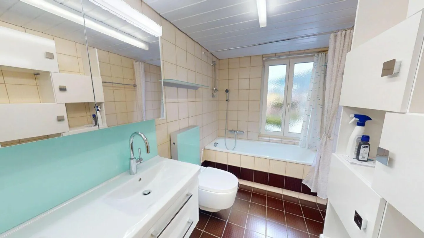 Spacious, Charming Penthouse - Two Units, One Home - Photo 13 of 16