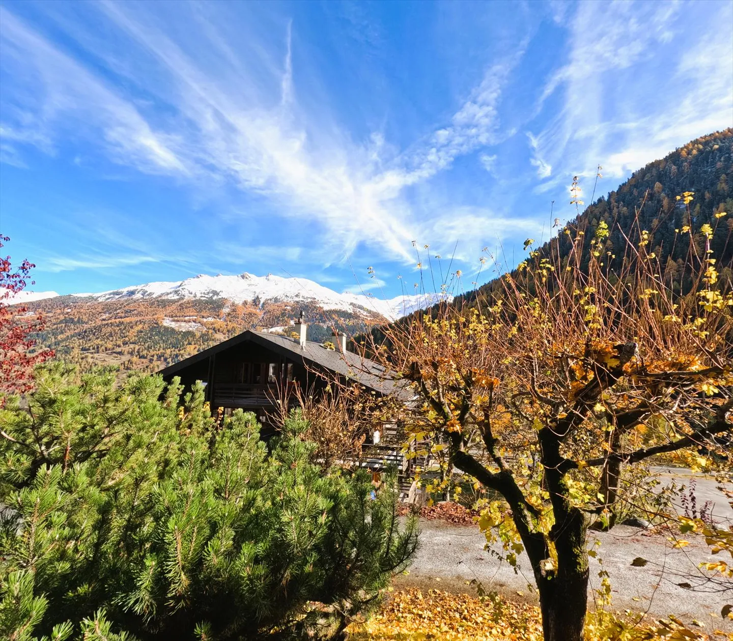 Apartment for sale - Photo 14 of 17