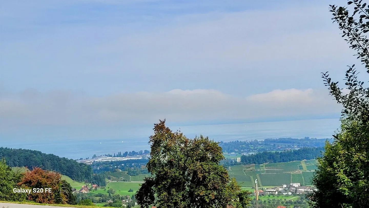 Oasi residenziale (circa casa bifamiliare) a Wolfhalden con vista mozzafiato - Foto 5 di 25