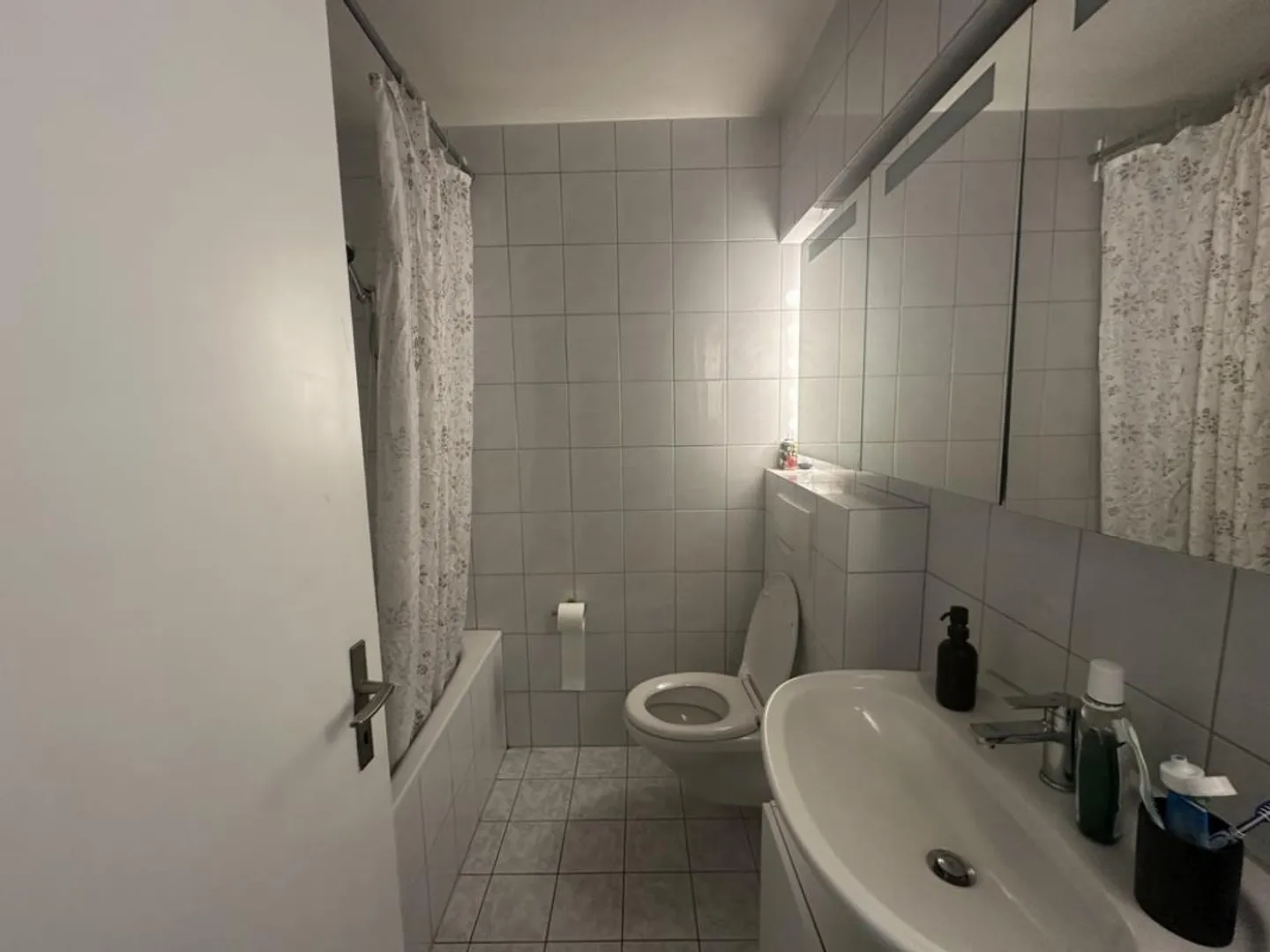 Zentrales Apartment in Tribschen - Foto 7 von 7