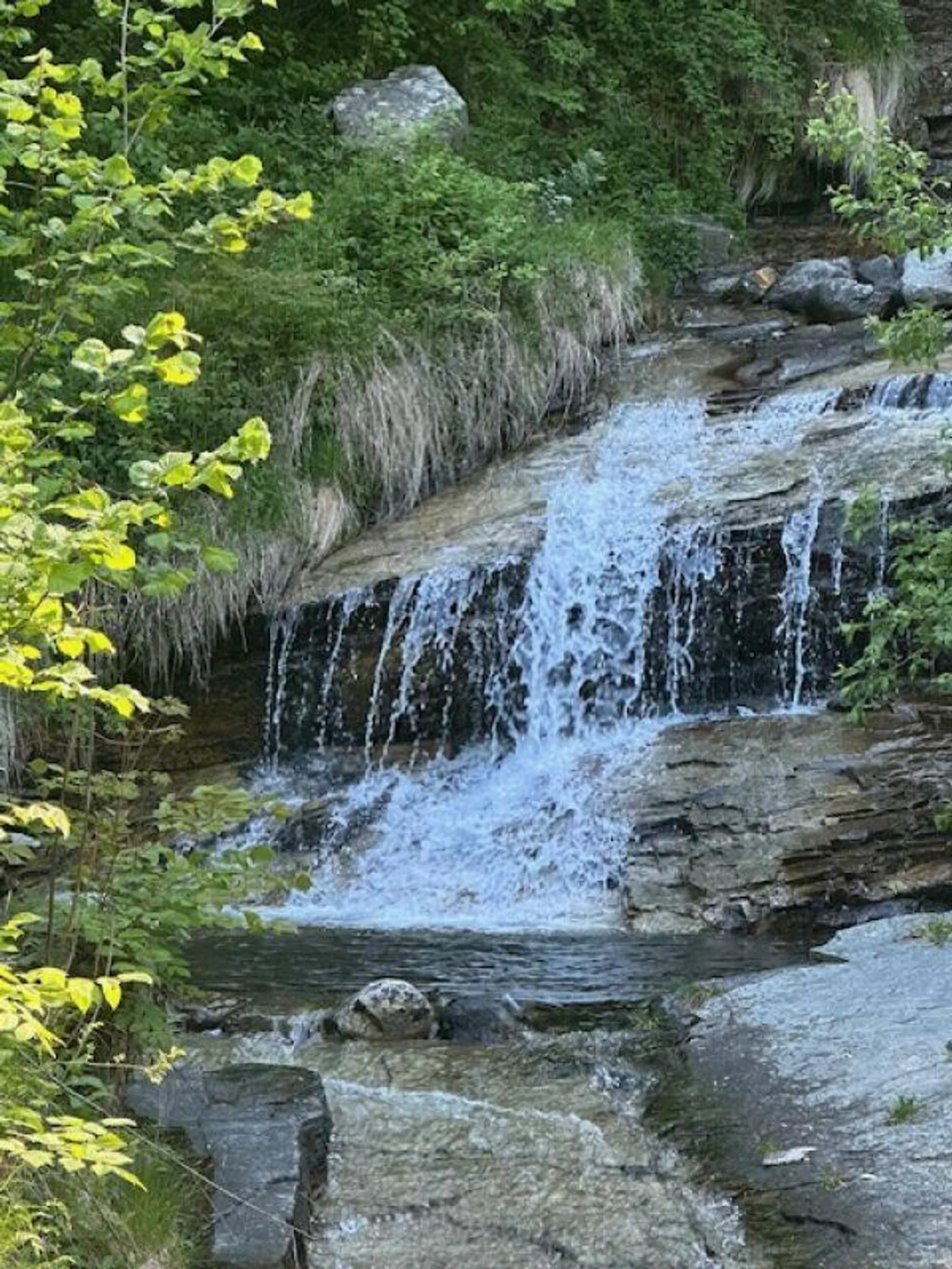 Incantevole Rustico nella Natura - Foto 23 di 26