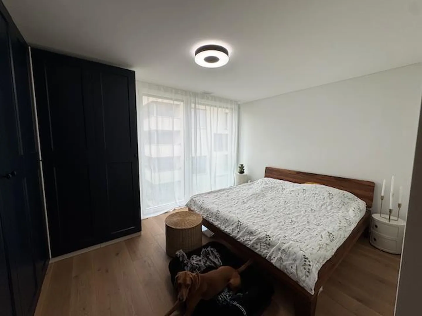 Subaffittuario per appartamento moderno di 3,5 stanze con standard Minergie a Zof - Foto 5 di 7