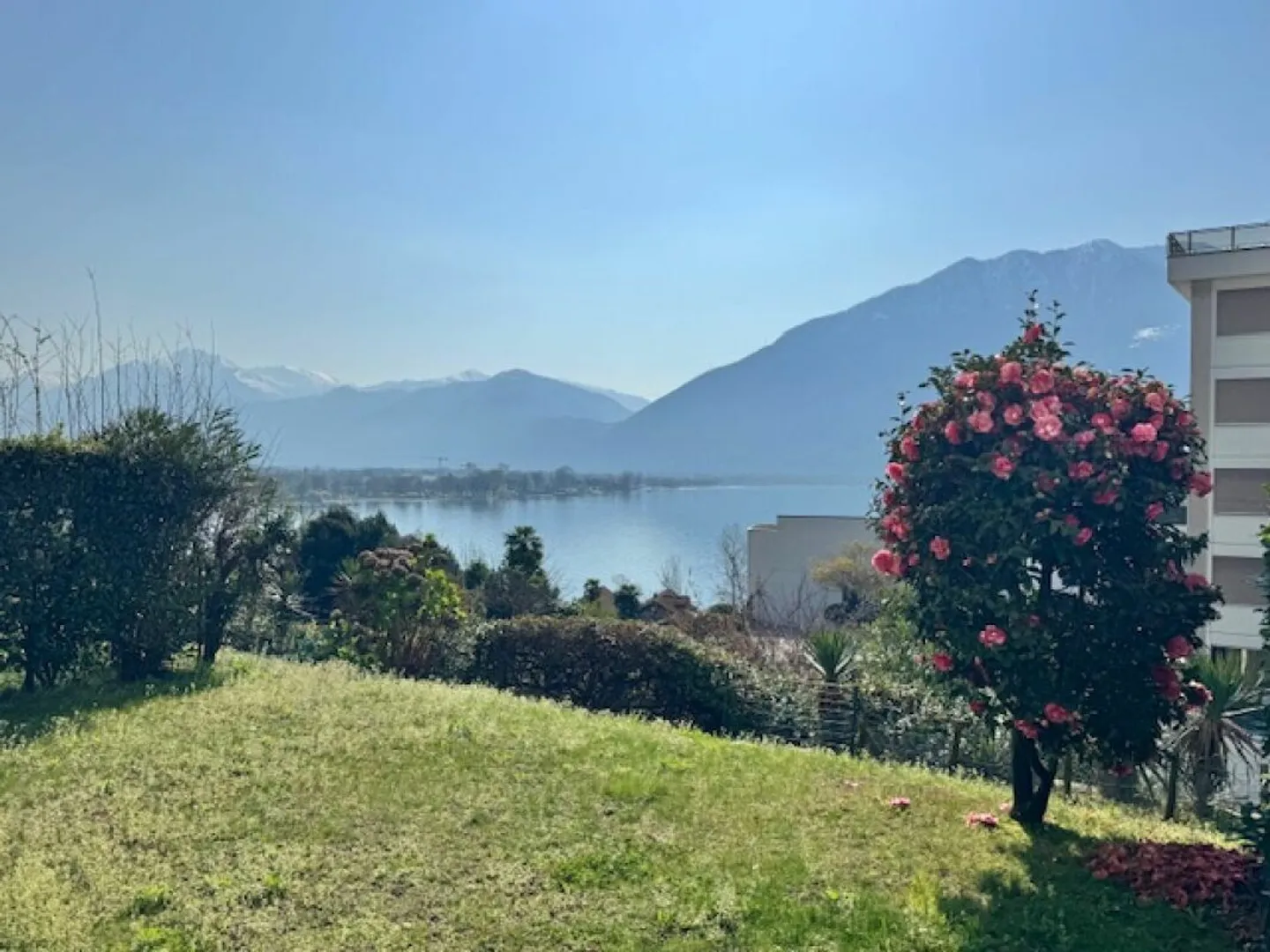 ZU VERKAUFEN IN MINUSIO - GERÄUMIGE 4.5-ZIMMER-WOHNUNG IM EG MIT SEEBLICK (SEKUNDÄRE WOHNUNG) - Foto 12 von 30