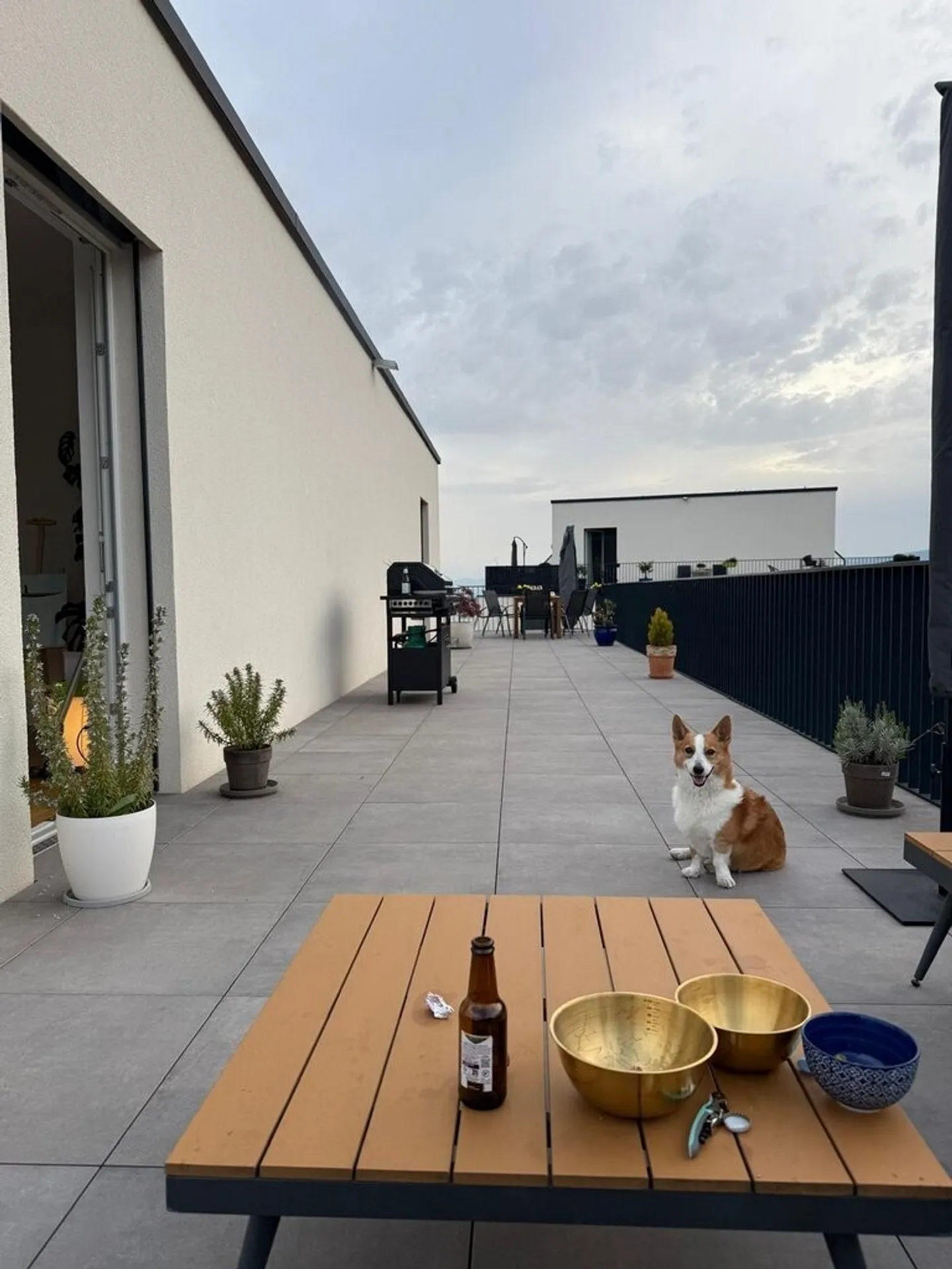 Nuovo Appartamento con Terrazza Spaziosa - Foto 4 di 12