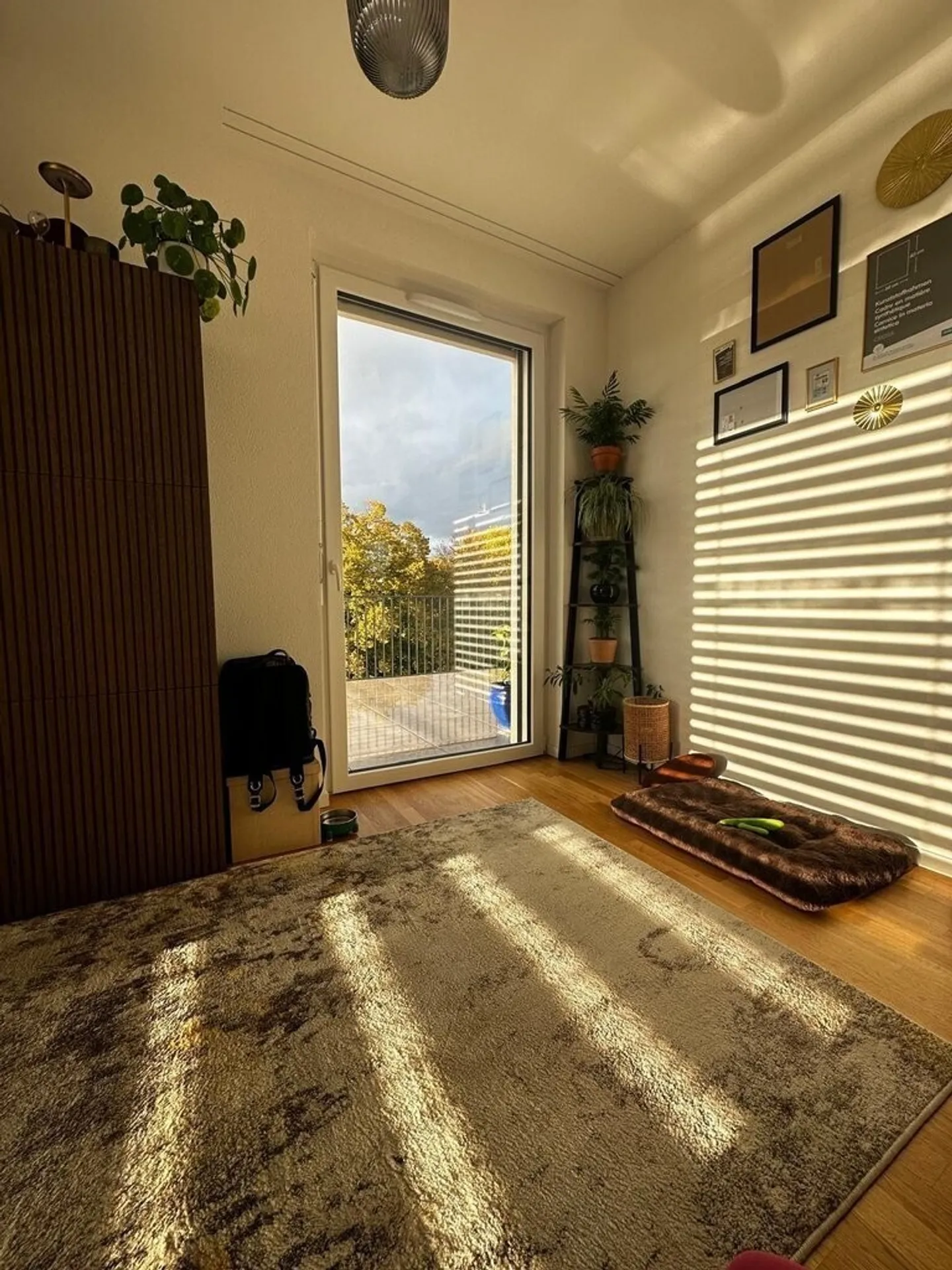 Nuovo Appartamento con Terrazza Spaziosa - Foto 8 di 12