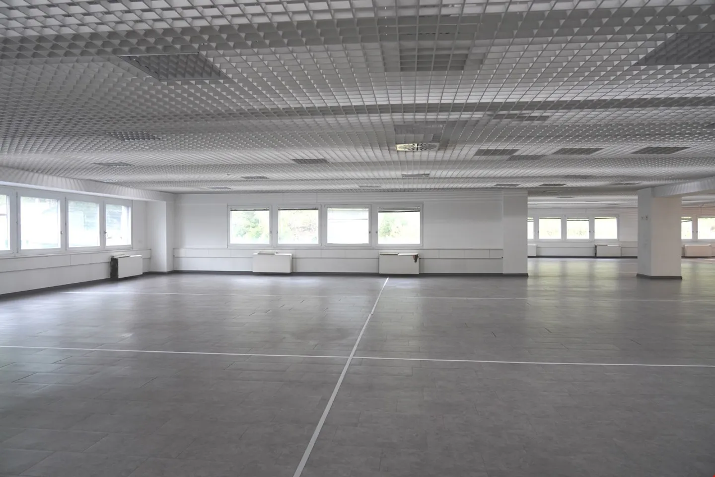 Manno - Office-Labor for rent - 810 m² - Photo 3 of 6