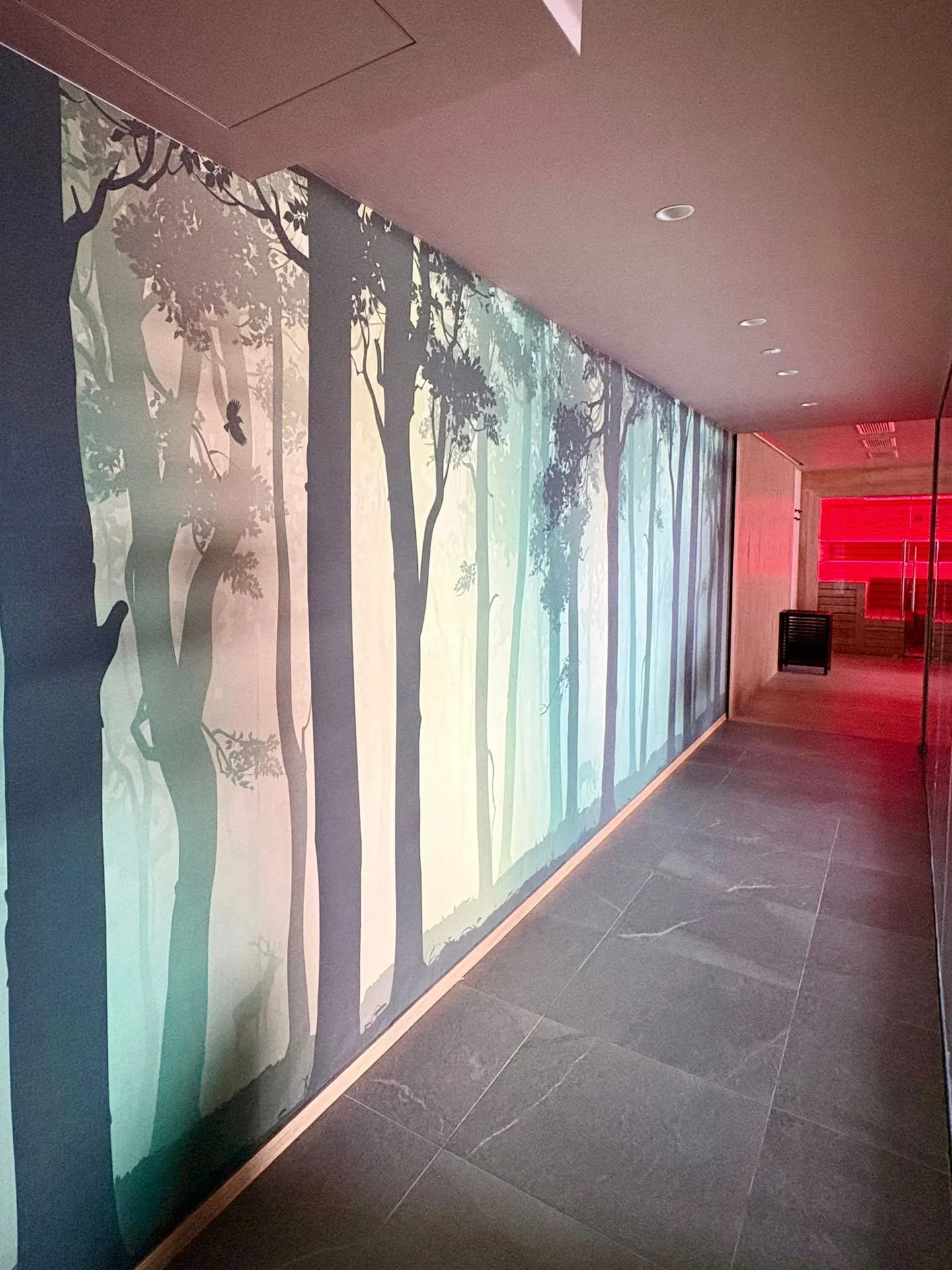 Nouvel appartement de 3,5 pièces dans la Residenza Castanea, San Bernardino (GR) - Photo 19 sur 27