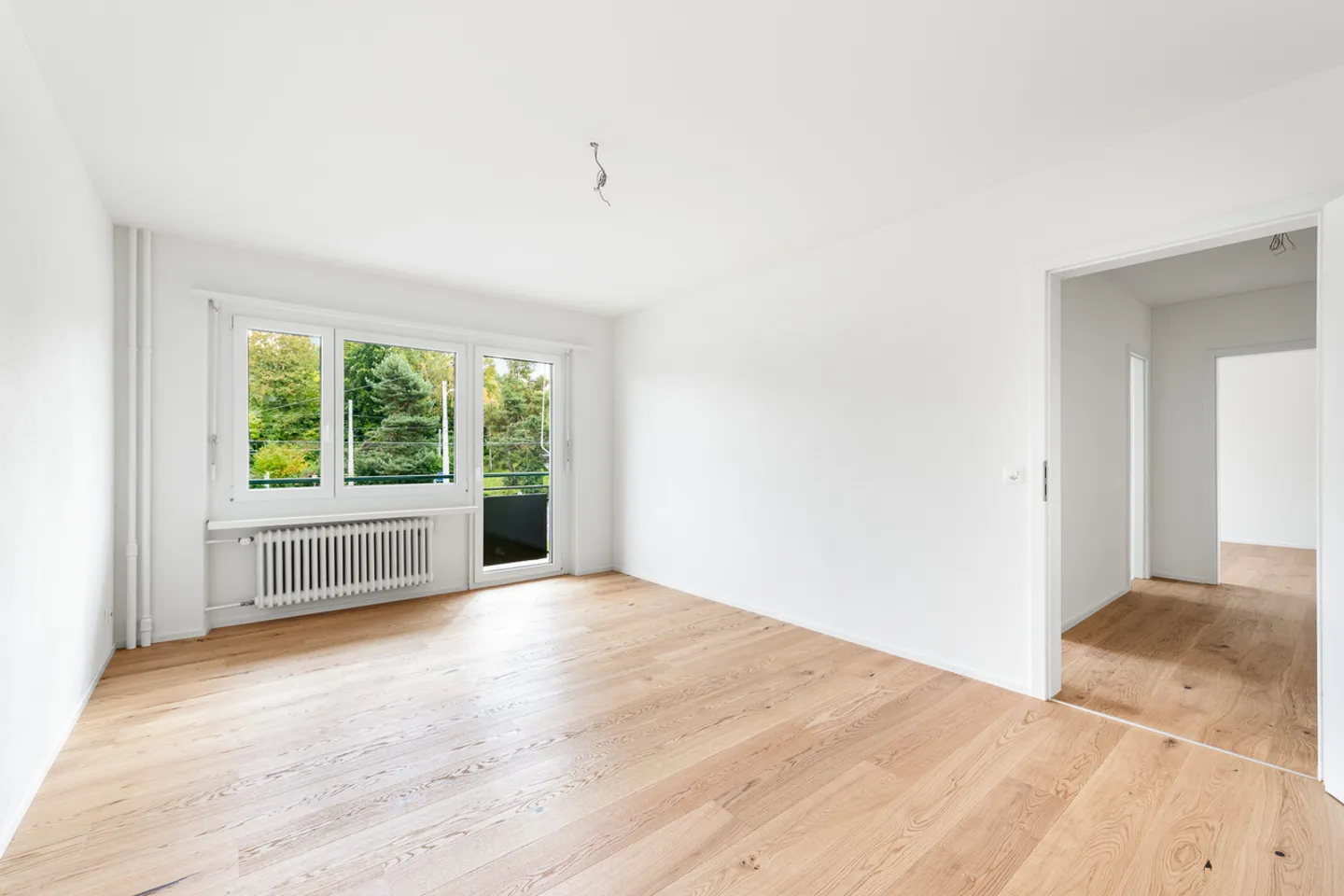 L'appartamento perfetto vicino a Irchelpark - appena ristrutturato! - Foto 3 di 7