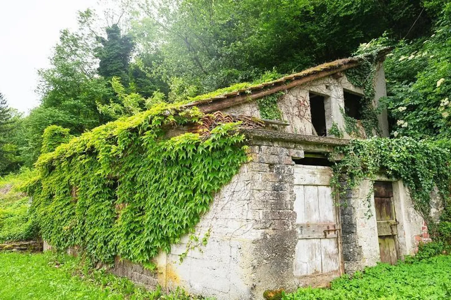 Baulandgrundstück von 476 m2 und 3553 m2 Wald / due terreni edifica... - Foto 13 von 19