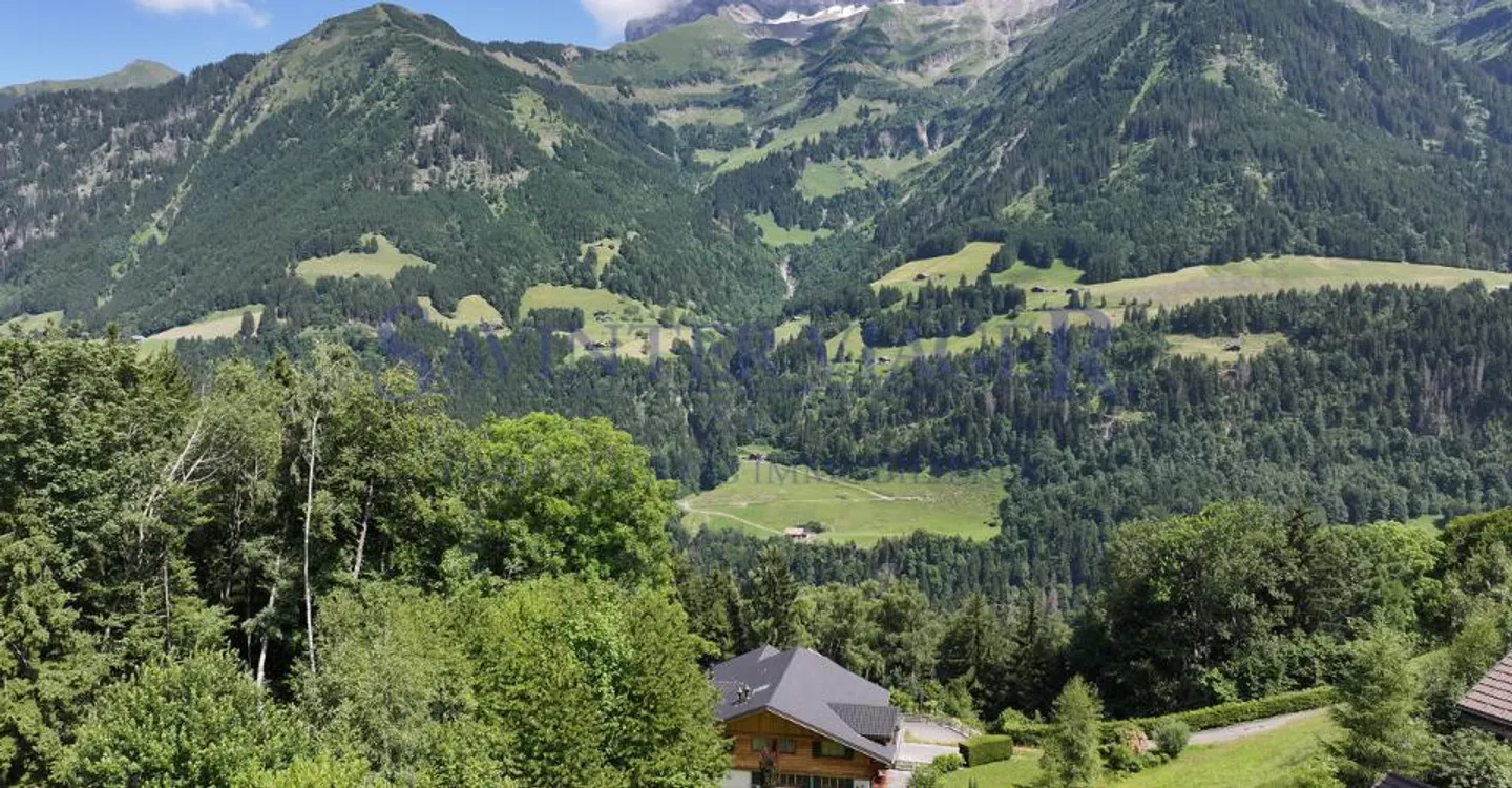 Champéry, Chalet Eccezionale di 450 m2 abitabili - Viager occupato - Foto 4 di 12