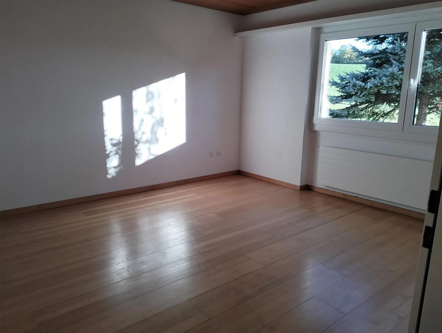 casa idilliaca nel verde villaggio fuori Buttisholz - Foto 3 di 6