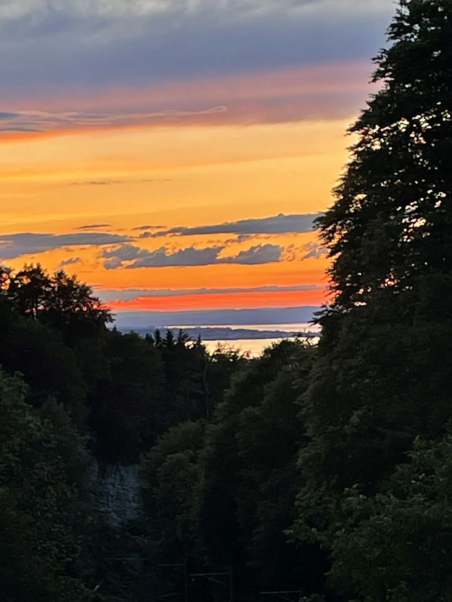 Erschlossenes Grundstück an idyllischer Lage - Photo 5 of 6