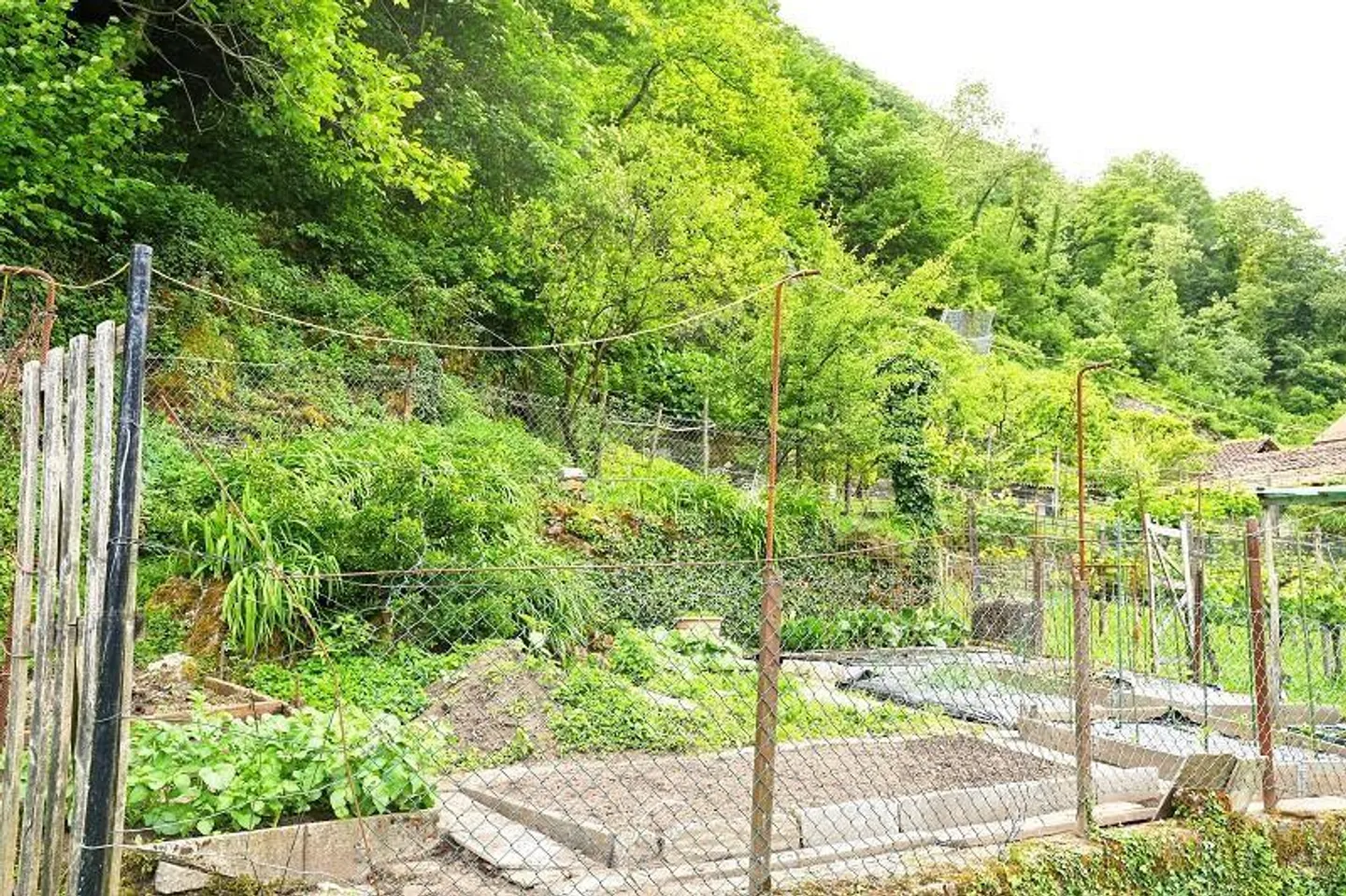 zwei Baulandgrundstücke von 955 m2 und 3553 m2 Wald / due terreni e... - Foto 4 von 19