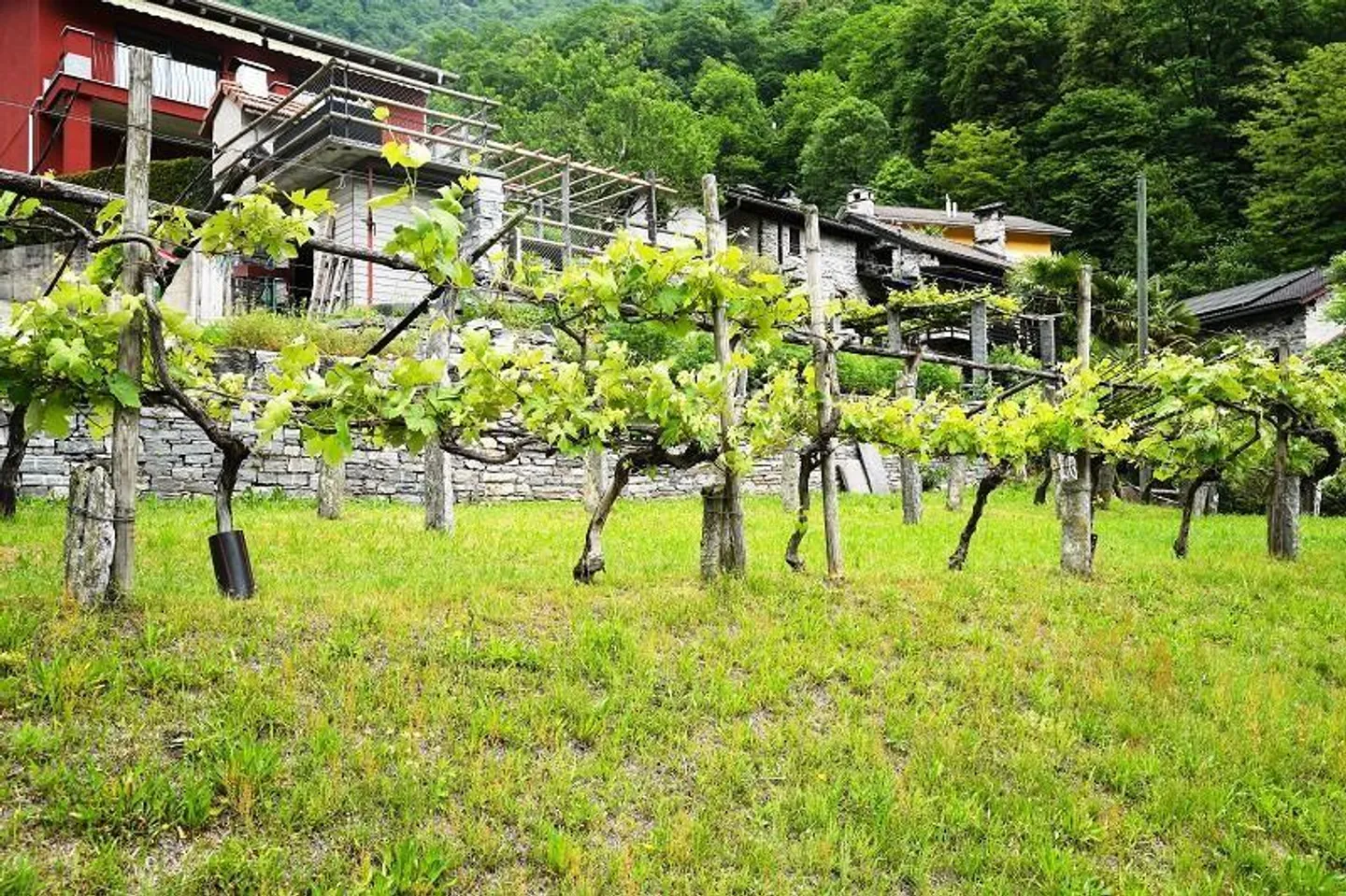 zwei Baulandgrundstücke von 955 m2 und 3553 m2 Wald / due terreni e... - Foto 7 von 19