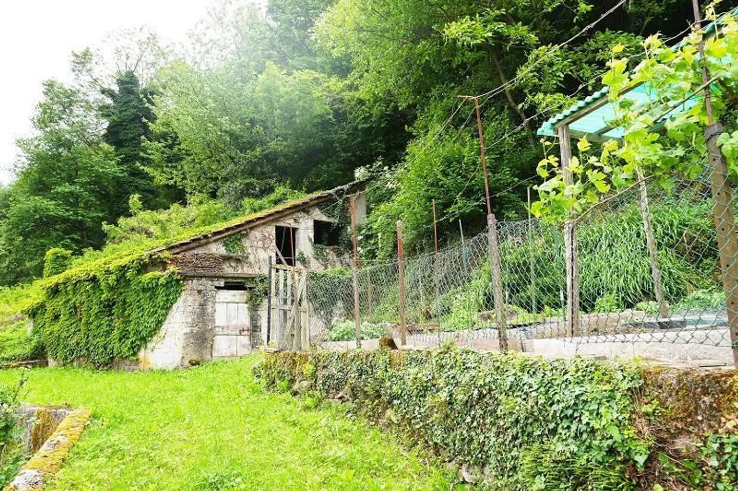 zwei Baulandgrundstücke von 955 m2 und 3553 m2 Wald / due terreni e... - Foto 14 von 19