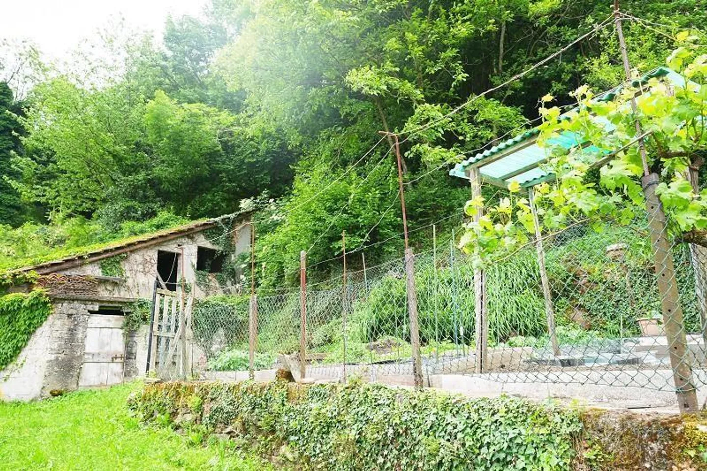 zwei Baulandgrundstücke von 955 m2 und 3553 m2 Wald / due terreni e... - Foto 15 von 19