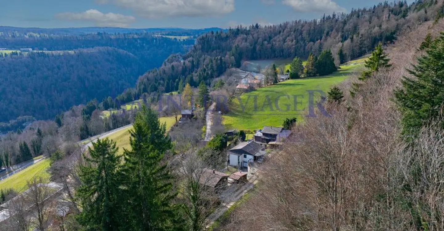 The house "Les mésanges" in occupied life annuity - Photo 7 of 13