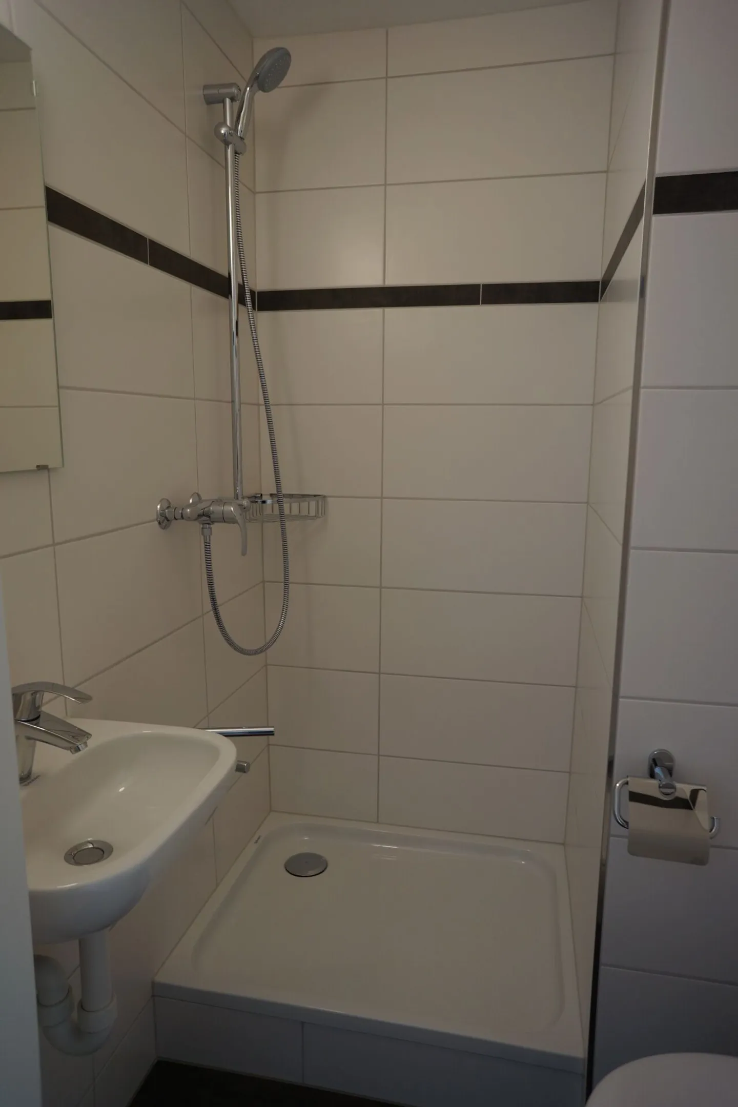 Beautiful 4½-room apartment - Photo 4 of 14