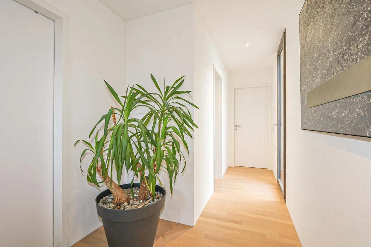 Architecture in Perfection: Design-oriented Row House - Photo 6 of 15