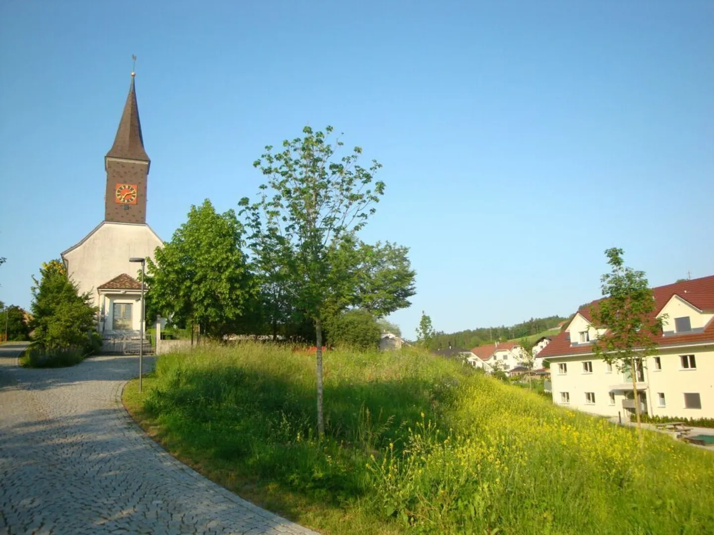 Grosszügige 3,5-Zi.-Dachgeschoss-WG an ruhiger Lage - Photo 11 of 13