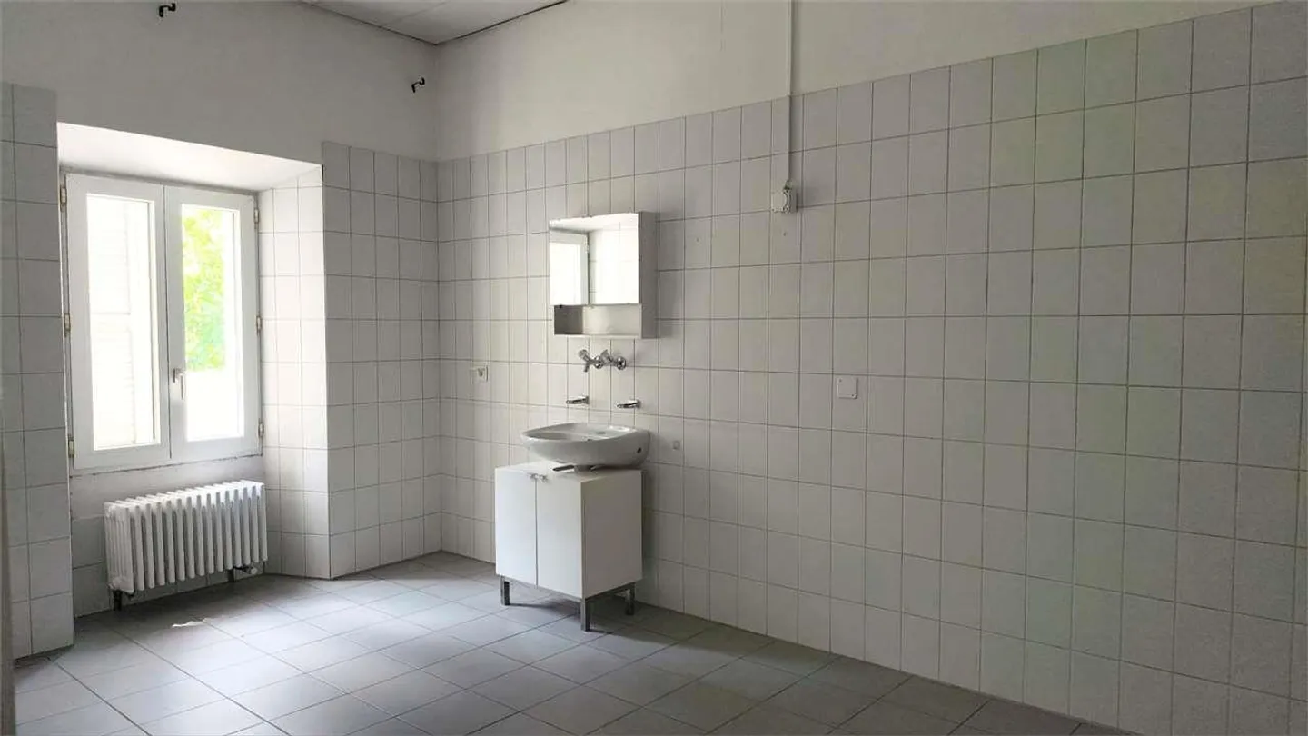 Giornico (Via San Gottardo) - 3.5 Rooms Ground Floor - Photo 8 of 9