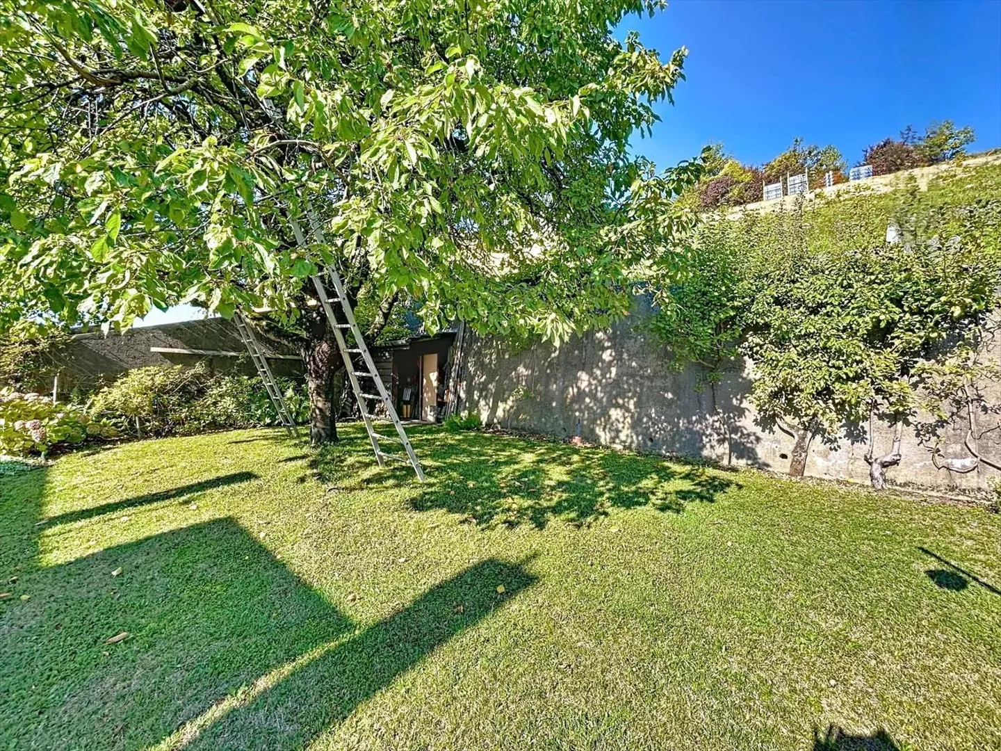 Casa Incantevole a Cortaillod con Vista sulle Alpi - Foto 10 di 11