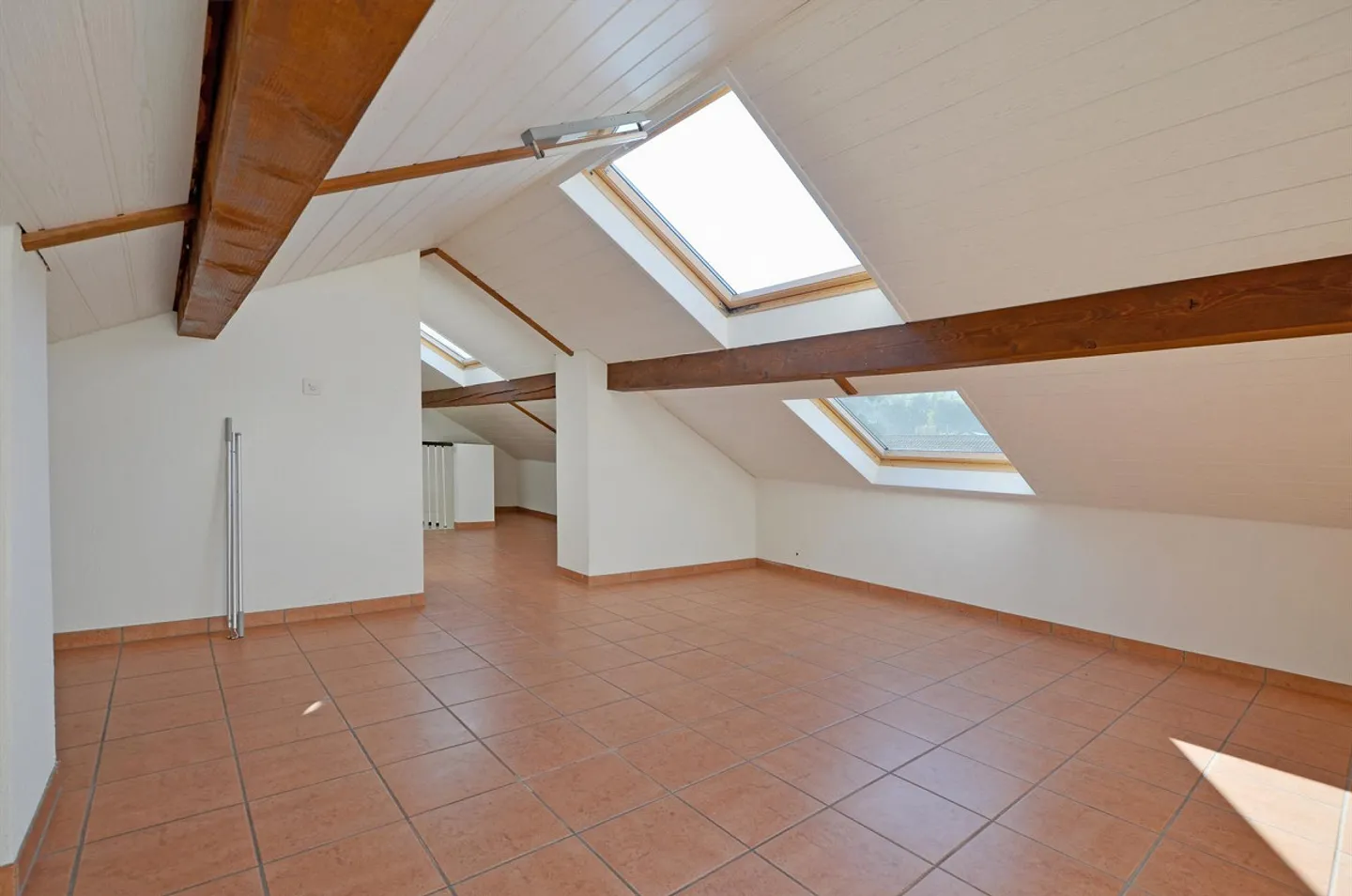 Appartamento 4.5 stanze con sezione giardino e box garage - Foto 4 di 11