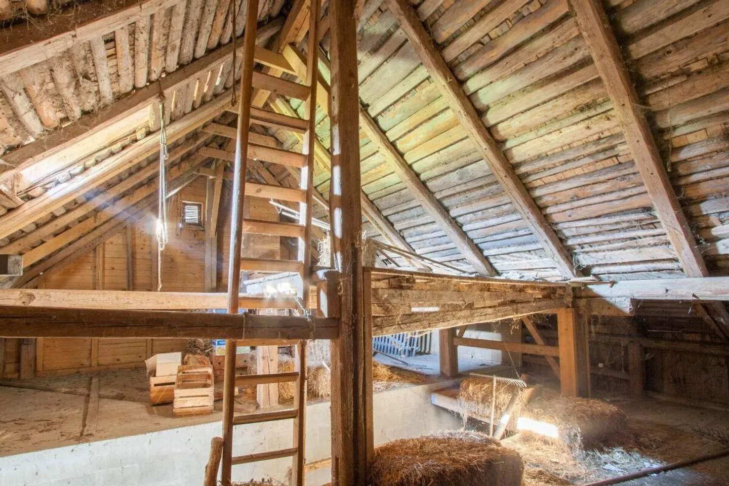 Appenzeller House with Plenty of Surroundings - Photo 15 of 15