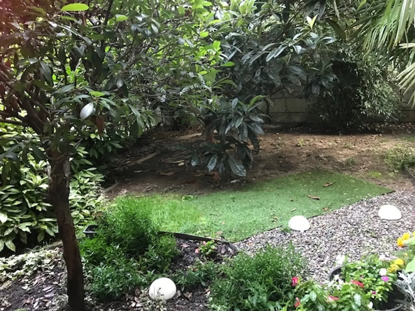 Appartamento spazioso con giardino - Foto 1 di 1