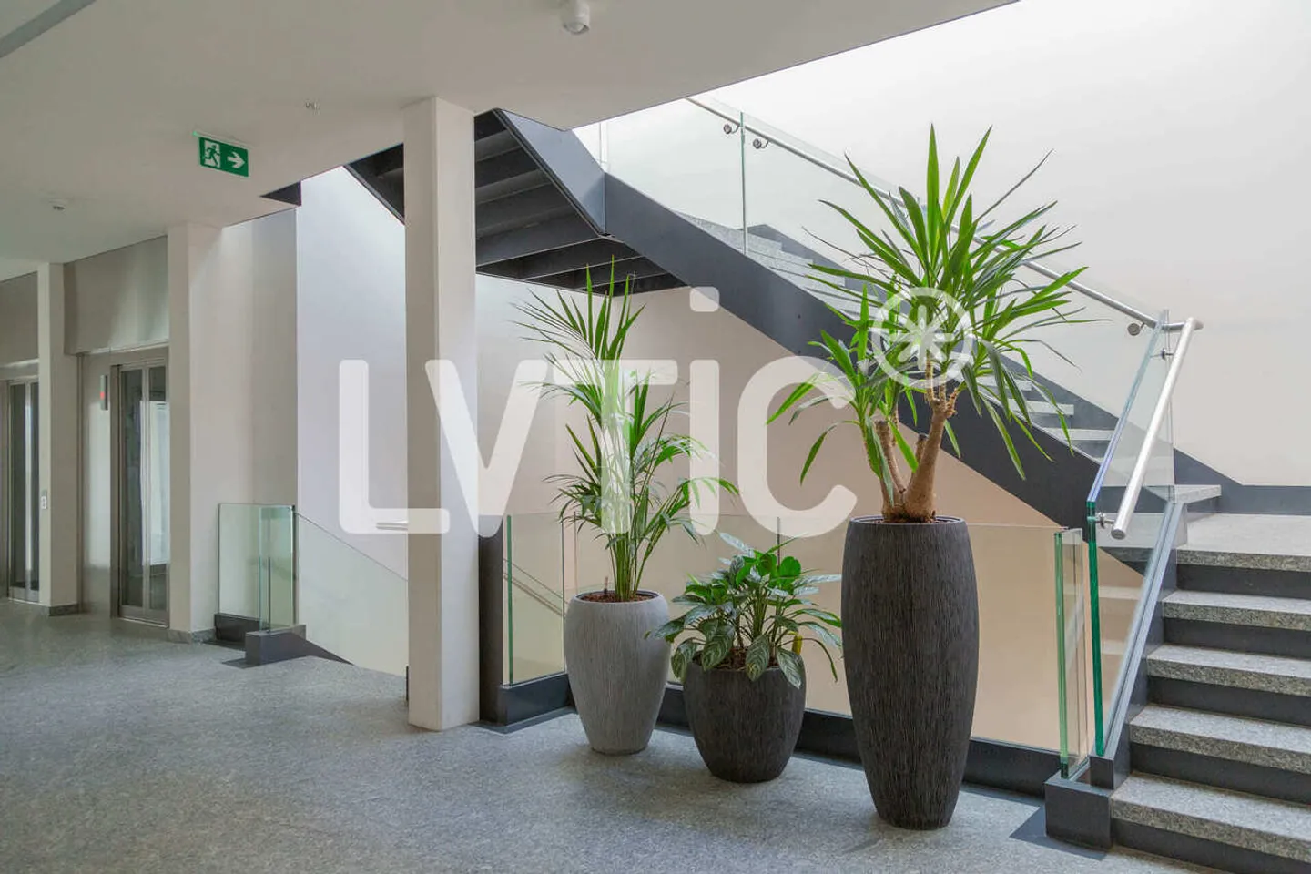 Commercial/Artisanal premises from 250 m2 for rent in Etoy - Photo 6 of 13