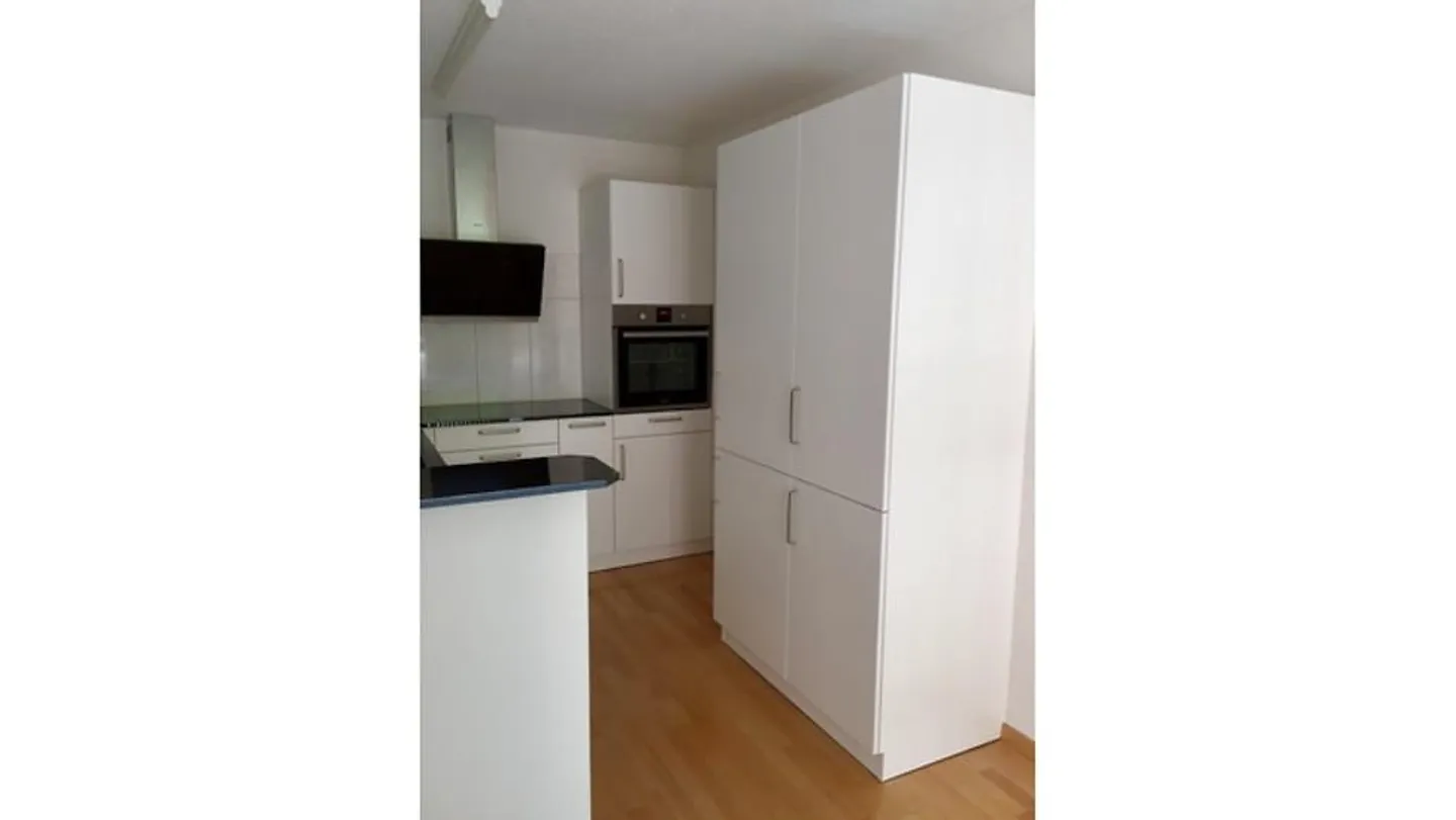 APPARTAMENTO 2½ STANZE A EBMATINGEN (ZH), ARREDATO, TEMPORANEO - Foto 2 di 7