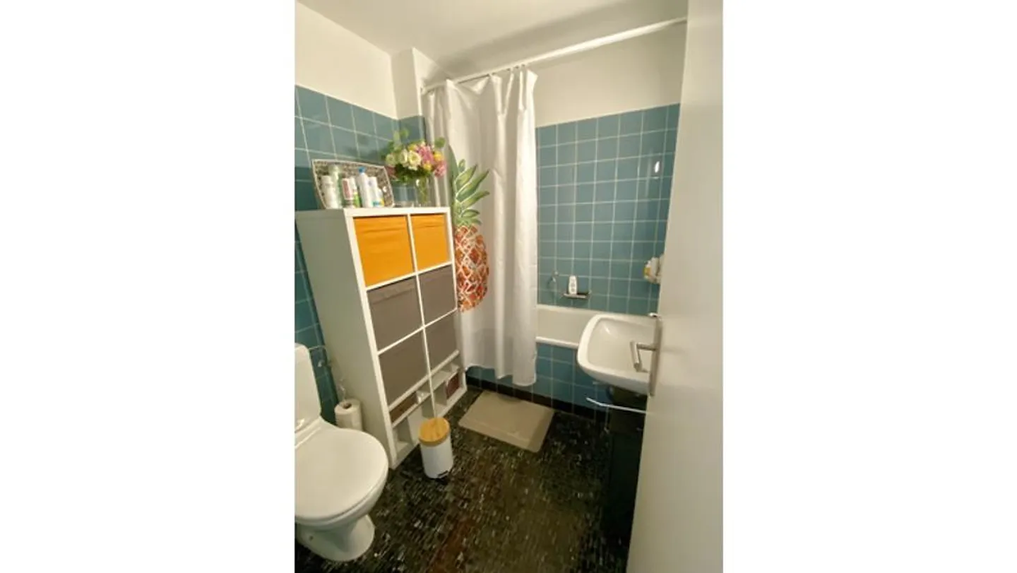 APPARTAMENTO 2½ STANZE A EBMATINGEN (ZH), ARREDATO, TEMPORANEO - Foto 6 di 7