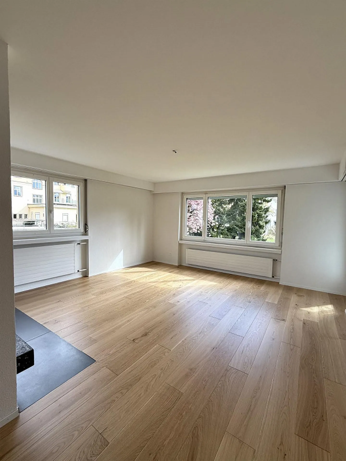 Appartamento 4.5 stanze luminoso e moderno ristrutturato (2026) in una posizione soleggiata di prima scelta - Foto 4 di 13