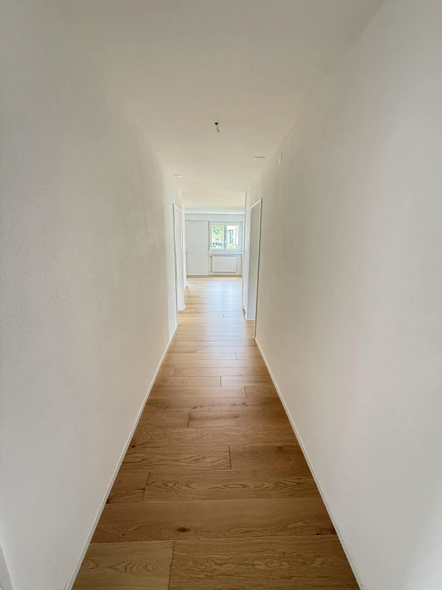 Appartamento 4.5 stanze luminoso e moderno ristrutturato (2026) in una posizione soleggiata di prima scelta - Foto 5 di 13