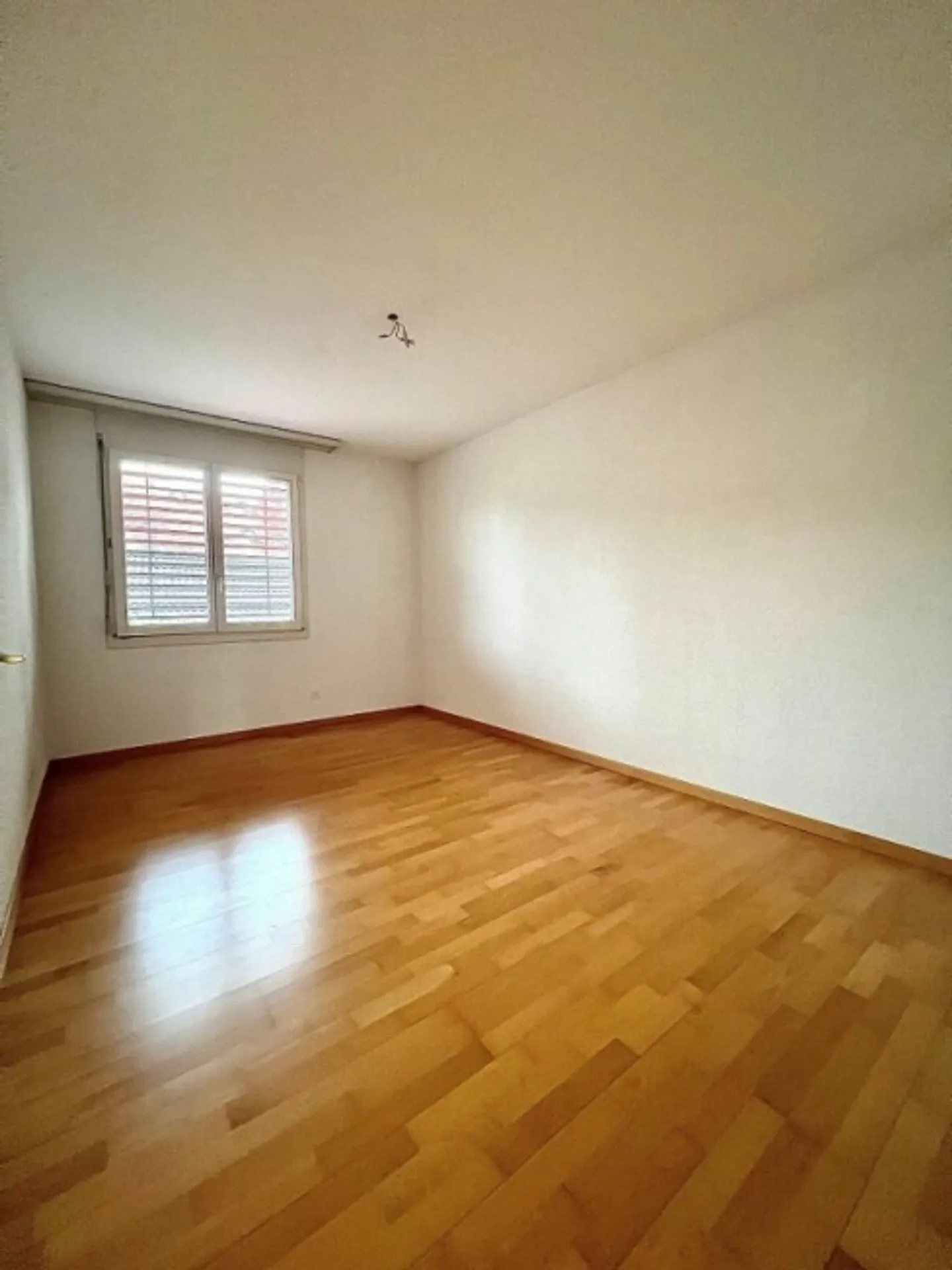 Quiet apartment in the green - Photo 7 of 12