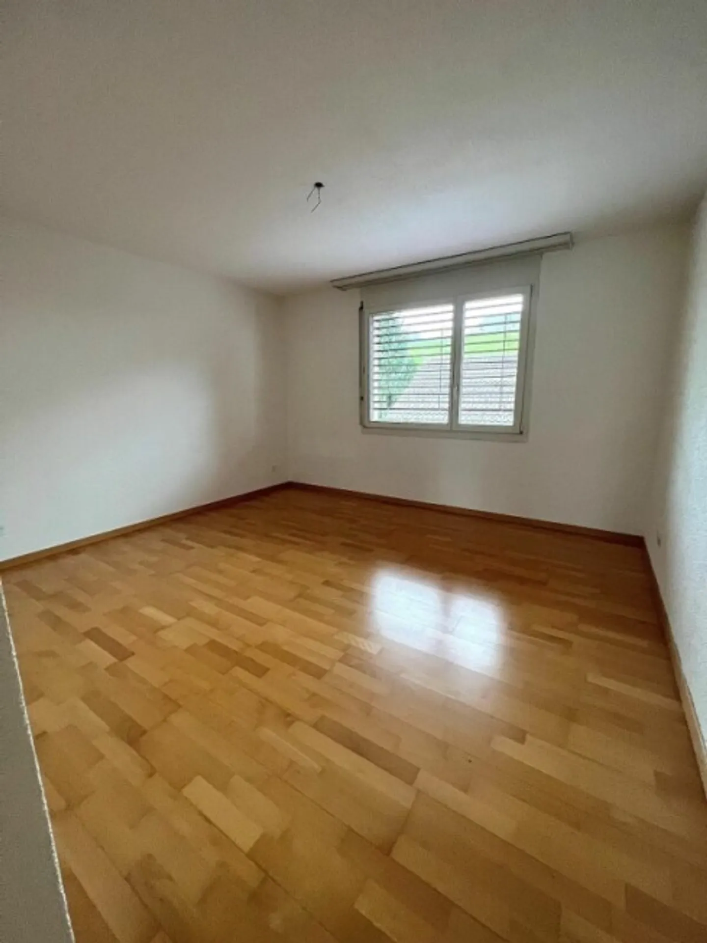Quiet apartment in the green - Photo 5 of 12