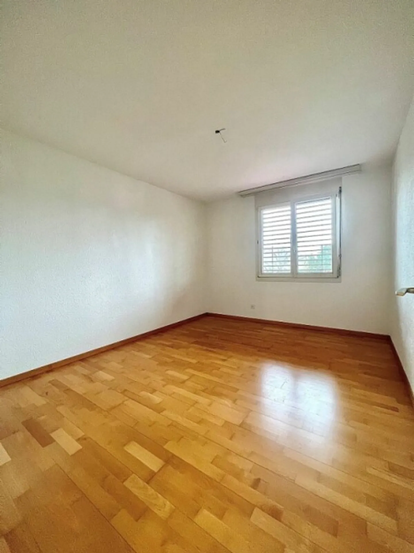 Quiet apartment in the green - Photo 6 of 12